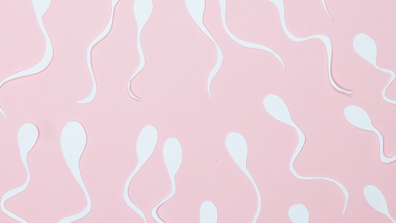 ઓછી સાઈઝના એગને ફર્ટિલાઈઝ કરવામાં મુશ્કેલી થાય છે. ઓછા આકારના એગમાં સારી ગુણવત્તા હોતી નથી અને પ્રજનન ક્ષમતામાં મુશ્કેલી આવે છે. પ્રજનનક્ષમતા એગના કદ પર આધાર રાખે છે.