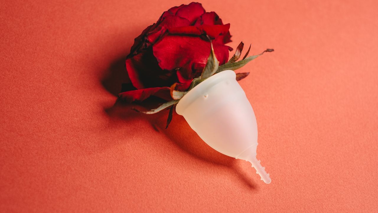 આ સિવાય ઊંઘની ઉણપથી મેટાબોલિઝ્મ અને ઈંસુલિન રેજિસ્ટેસ પર અસર થાય છે. આનાથી મોટાપો અને પીરિયડ્સ સાઈકલ પ્રભાવિત થાય છે.ઊંઘની ઉણપ ઉપરાંત, તણાવ અને વિટામિન ડી અને વિટામિન બી12 સહિત ઘણા જરૂરી પોષક તત્વોનો અભાવ પણ તમારી પીરિયડ્સ સાઈકલને અસર કરી શકે છે.