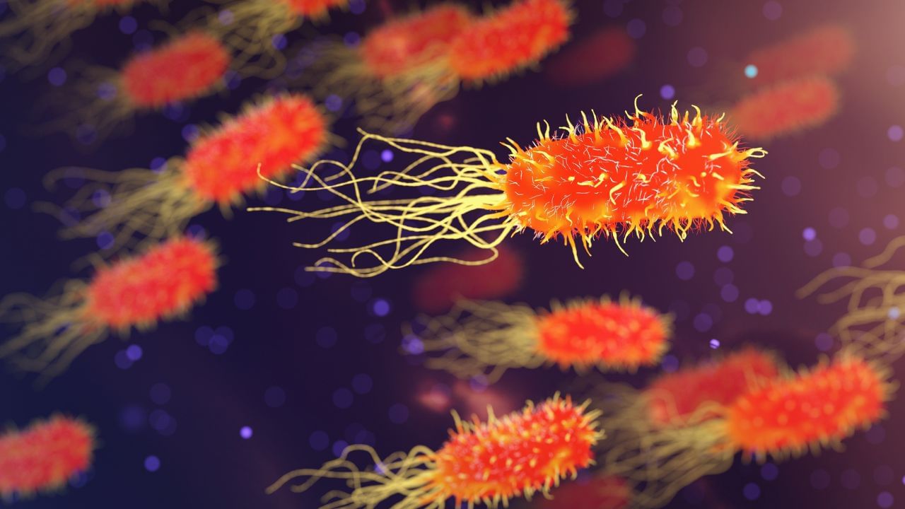 Gynecologists Tips (7)