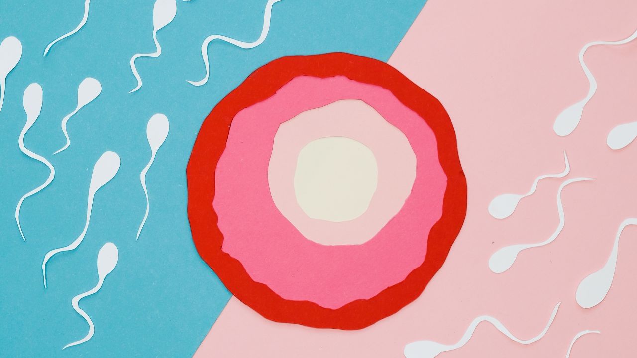 નાના કદના એગ સાથે ગર્ભાવસ્થા થાય તેવા કિસ્સાઓ બહુ ઓછા જોવા મળે છે. પરંતુ આવી ગર્ભાવસ્થામાં ગર્ભપાત થવાની શક્યતા વધુ હોય છે. અને જો ગર્ભાવસ્થા સફળ થાય તો પણ, ભવિષ્યમાં બાળકમાં ઘણી આનુવંશિક સમસ્યાઓનો ભય રહે છે.