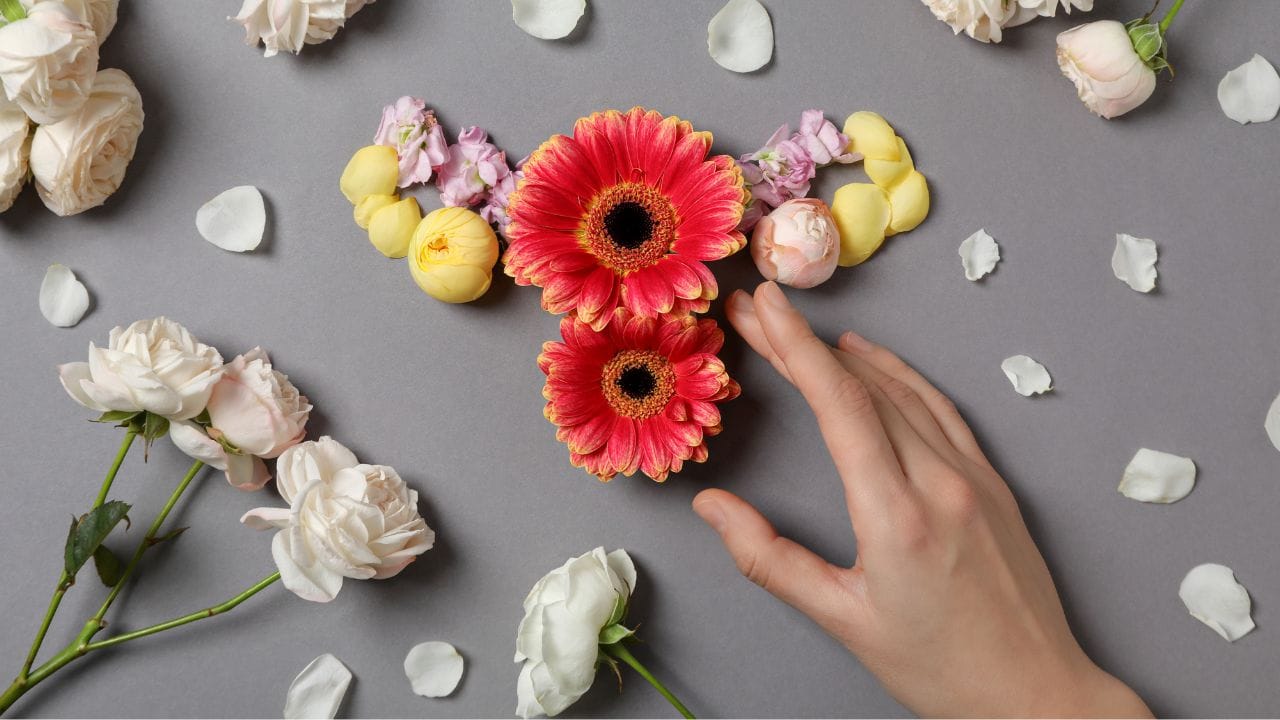 નોંધ : અહીં આપવામાં આવેલી માહિતી ફક્ત આપની જાણકારી માટે છે. કોઈ પણ ઈલાજ કરતાં પહેલા કે,અમલમાં લેતા પહેલા નિષ્ણાતોની સલાહ લેવી જરુરી છે. ( all photo:canva)