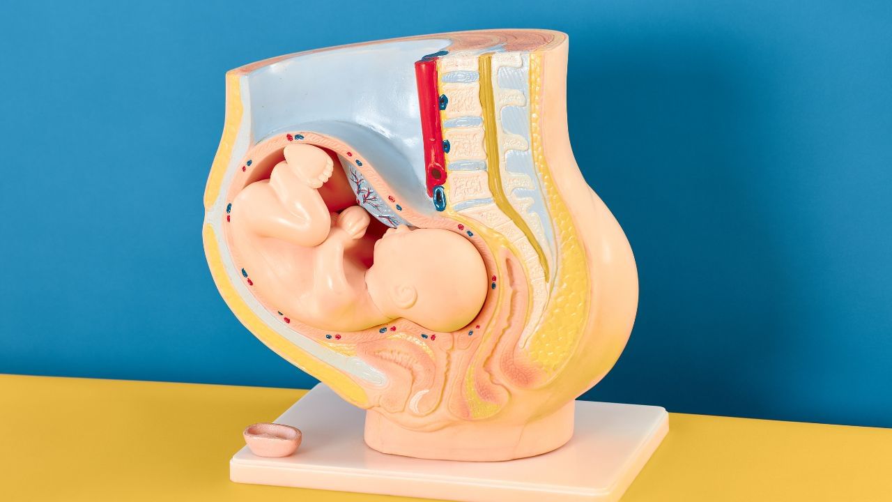 નોંધ : અહીં આપવામાં આવેલી માહિતી ફક્ત આપની જાણકારી માટે છે. કોઈ પણ ઈલાજ કરતાં પહેલા કે,અમલમાં લેતા પહેલા નિષ્ણાતોની સલાહ લેવી જરુરી છે. ( all photo:canva)