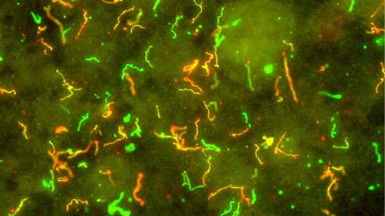 Gynecologists Tips (8)