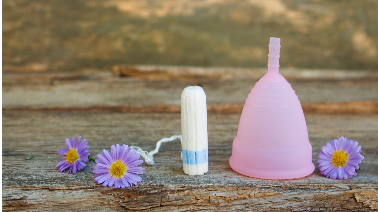 નોંધ : અહીં આપવામાં આવેલી માહિતી ફક્ત આપની જાણકારી માટે છે. કોઈ પણ ઈલાજ કરતાં પહેલા કે,અમલમાં લેતા પહેલા નિષ્ણાતોની સલાહ લેવી જરુરી છે. ( all photo:canva)