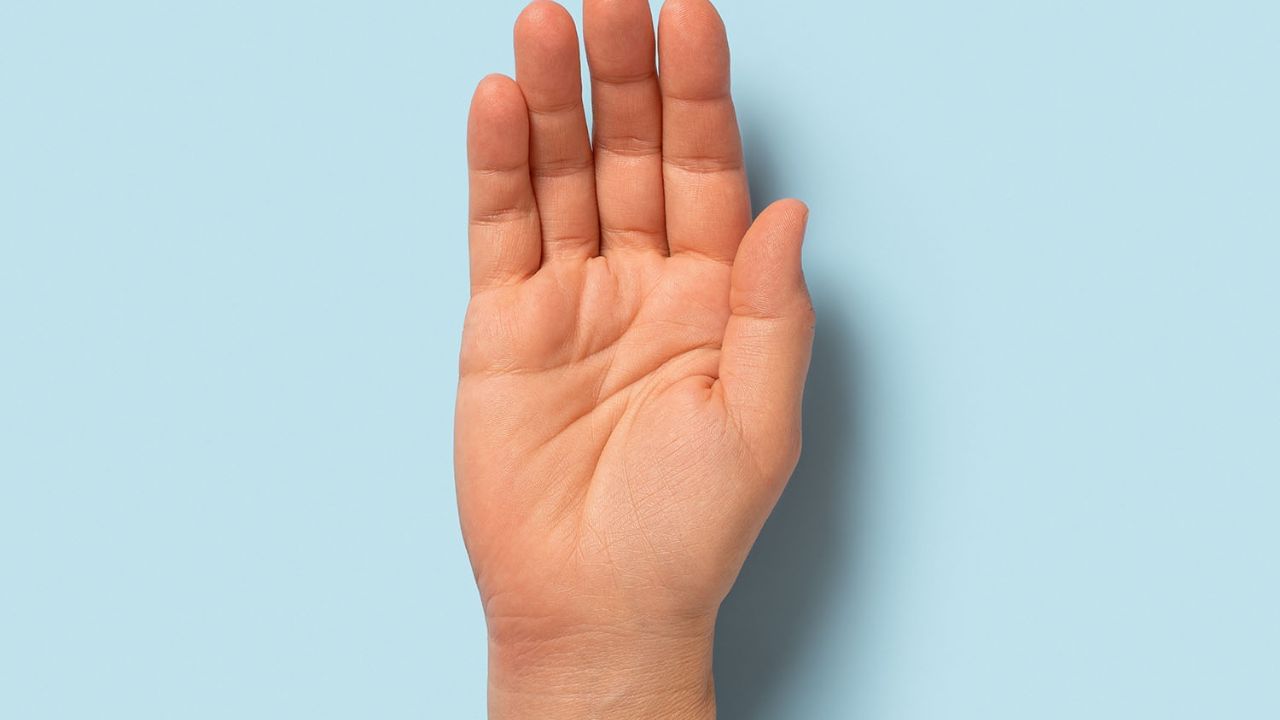 મોટા હાથવાળા લોકો: સામુદ્રિક શાસ્ત્ર અનુસાર જે લોકોના હાથ મોટા હોય છે, તેમને પૂરતા પ્રમાણમાં ભૌતિક સુખ મળે છે. આ ઉપરાંત આ લોકો વૈભવી જીવન જીવવાના શોખીન હોય છે. આ ઉપરાંત આ લોકો પાસે ઘણી સંપત્તિ હોય છે. આ લોકો વર્તમાનમાં રહે છે. આ લોકો હંમેશા તેમના જીવનસાથીઓને ખુશ રાખે છે અને તેમની વાત સાંભળે છે.
