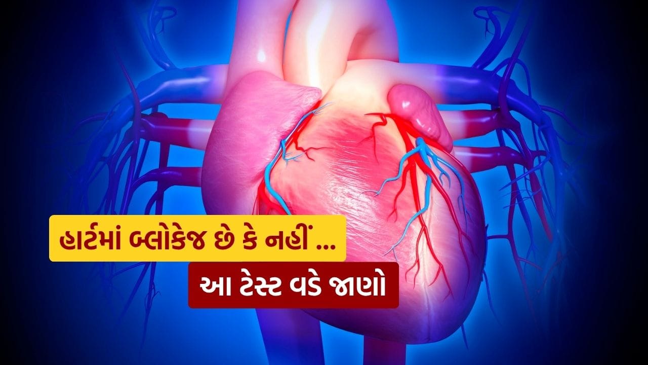 જ્યારે હૃદયની નસોમાં કોલેસ્ટ્રોલ અથવા ચરબી જમા થાય છે, ત્યારે તેને હાર્ટ બ્લોકેજ કહેવામાં આવે છે. આ લોહીના પ્રવાહને ધીમો પાડે છે અને હૃદયરોગના હુમલાનું જોખમ વધારે છે. આવી સ્થિતિમાં, અવરોધનું પ્રમાણ અને સ્થાન શોધવા માટે કેટલાક ખાસ પરીક્ષણો કરવામાં આવે છે.