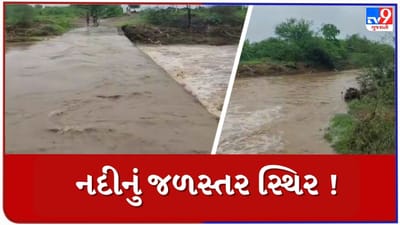 Rain News : પૂર્ણા નદીનું જળસ્તર 20 ફૂટની સપાટીએ પહોંચ્યુ, નદીની ભયજનક સપાટી 23 ફૂટ, જુઓ Video