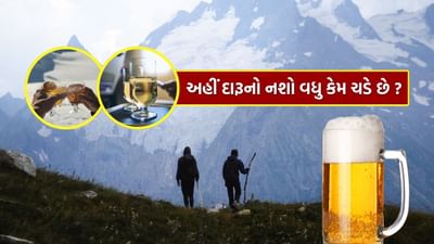 દારૂનો નશો દરેક પર ચઢે છે પરંતુ તેની અસર વિમાનો કે પર્વતો પર વધુ થાય છે. વાઇન નિષ્ણાતો પણ આ વાતની પુષ્ટિ કરે છે અને તેનું કારણ પણ જણાવે છે. વિમાનો અને પર્વતો પર દારૂનો નશો વધુ કેમ ચડે છે તેનો જવાબ જાણતા પહેલા, એ સમજવું જરૂરી છે કે તે શરીર પર તેની અસર કેવી રીતે બતાવવાનું શરૂ કરે છે. શરીરમાં પહોંચ્યા પછી, નાના આંતરડા દ્વારા દારૂ લોહીમાં ઝડપથી ઓગળી જાય છે.