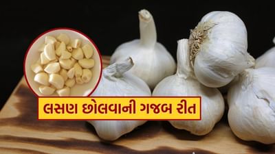 લસણ લગભગ દરેક શાકભાજીમાં જરૂરી છે. લસણ ખોરાકનો સ્વાદ અને સુગંધ વધારે છે.