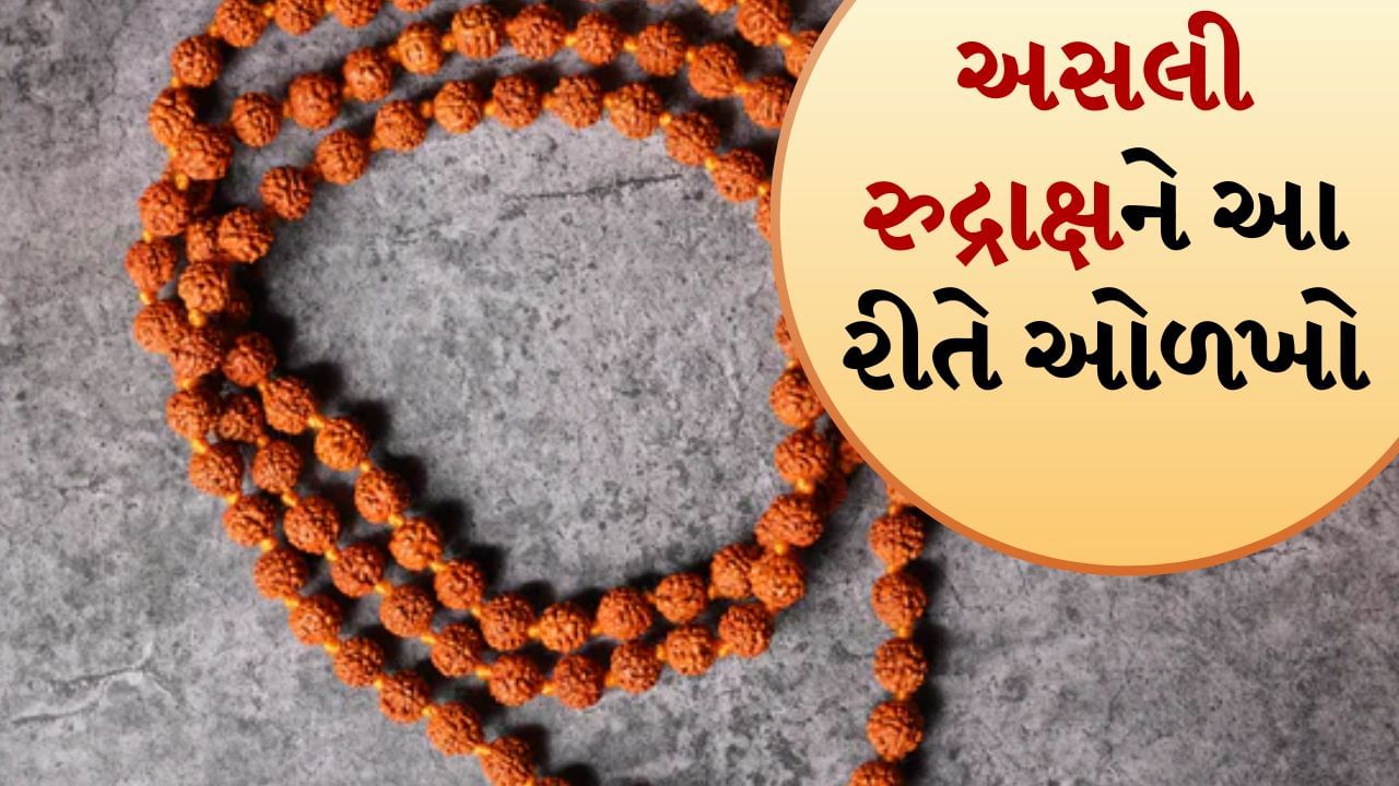 હિન્દુ ધર્મમાં રુદ્રાક્ષને ખૂબ જ મહત્વપૂર્ણ અને વિશેષ મહત્વ આપવામાં આવ્યું છે. માન્યતાઓ અનુસાર રુદ્રાક્ષ ભગવાન શિવના આંસુમાંથી ઉદ્ભવ્યો હતો. એવું માનવામાં આવે છે કે જે કોઈ રુદ્રાક્ષ પહેરે છે, તેના ખરાબ ગ્રહોમાં સુધારો થાય છે અને તે સફળ અને શુભ પરિણામો આપવા લાગે છે. 
