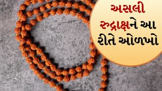 Real vs Fake Rudraksha: તમારી પાસે રુદ્રાક્ષ છે? અસલી અને નકલી રુદ્રાક્ષ કેવી રીતે ઓળખવો?
