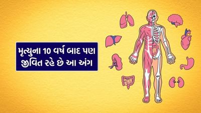 શરીરનું એવું એક અંગ છે જે મૃત્યુ પછી પણ 10 વર્ષ સુધી જીવિત રહી શકે છે. આ વાત જાણીને તમને ચોક્કસ નવાઈ લાગશે. સામાન્ય રીતે જ્યારે કોઈ વ્યક્તિનું મૃત્યુ થાય છે ત્યારે તેના મૃતદેહને સળગાવી દેવામાં આવે છે કે પછી દફનાવવામાં આવે છે.