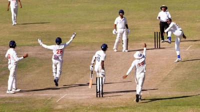 "The Pitch" એટલે કે પિચ, ક્રિકેટ મેદાનનો સૌથી મહત્વનો ભાગ હોય છે, અહીં બેટિંગ અને બોલિંગ બંનેની રમત ચાલે છે.