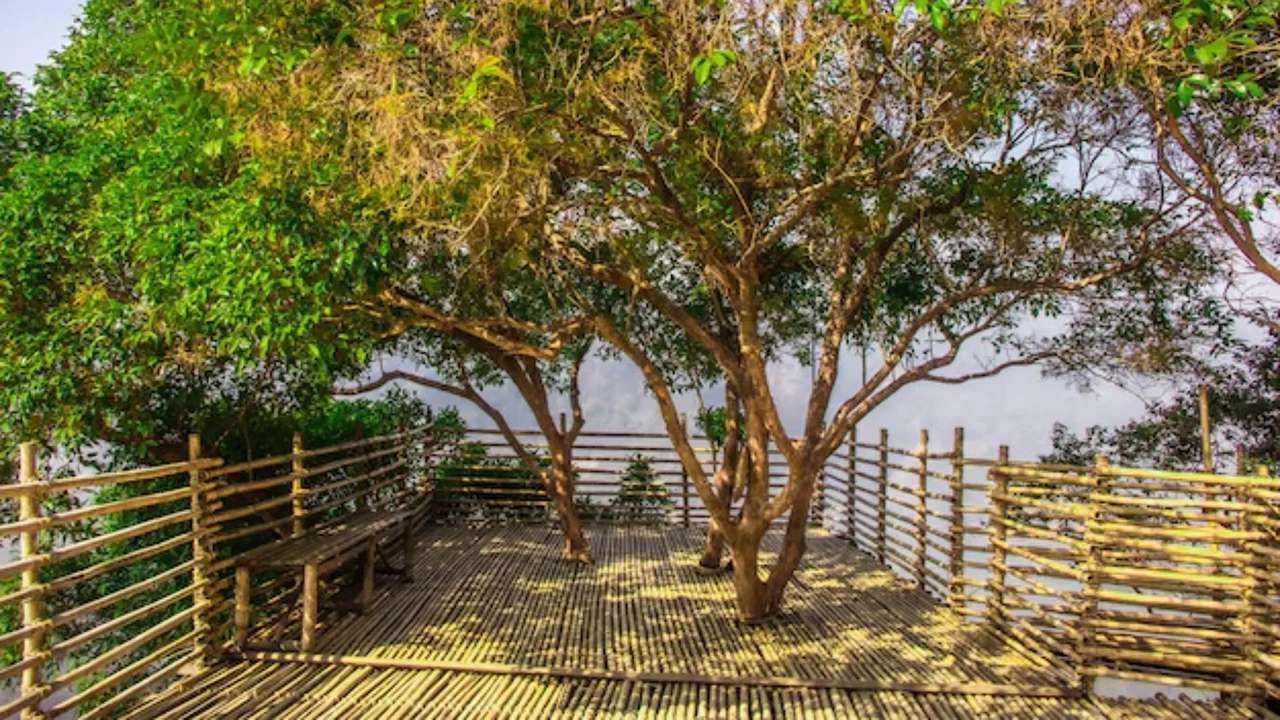 આ ગામના લોકો કહે છે કે, જ્યારે બાળકોને વાર્તાઓ કહેવામાં આવે છે, ત્યારે તેમને પર્યાવરણનો આદર કરવાનું શીખવવામાં આવે છે અને તેની જવાબદારી સોંપવામાં આવે છે. તેઓએ કહ્યું કે આપણા રિવાજો જંગલ, નદી અને પર્વત સાથે સંબંધિત છે.