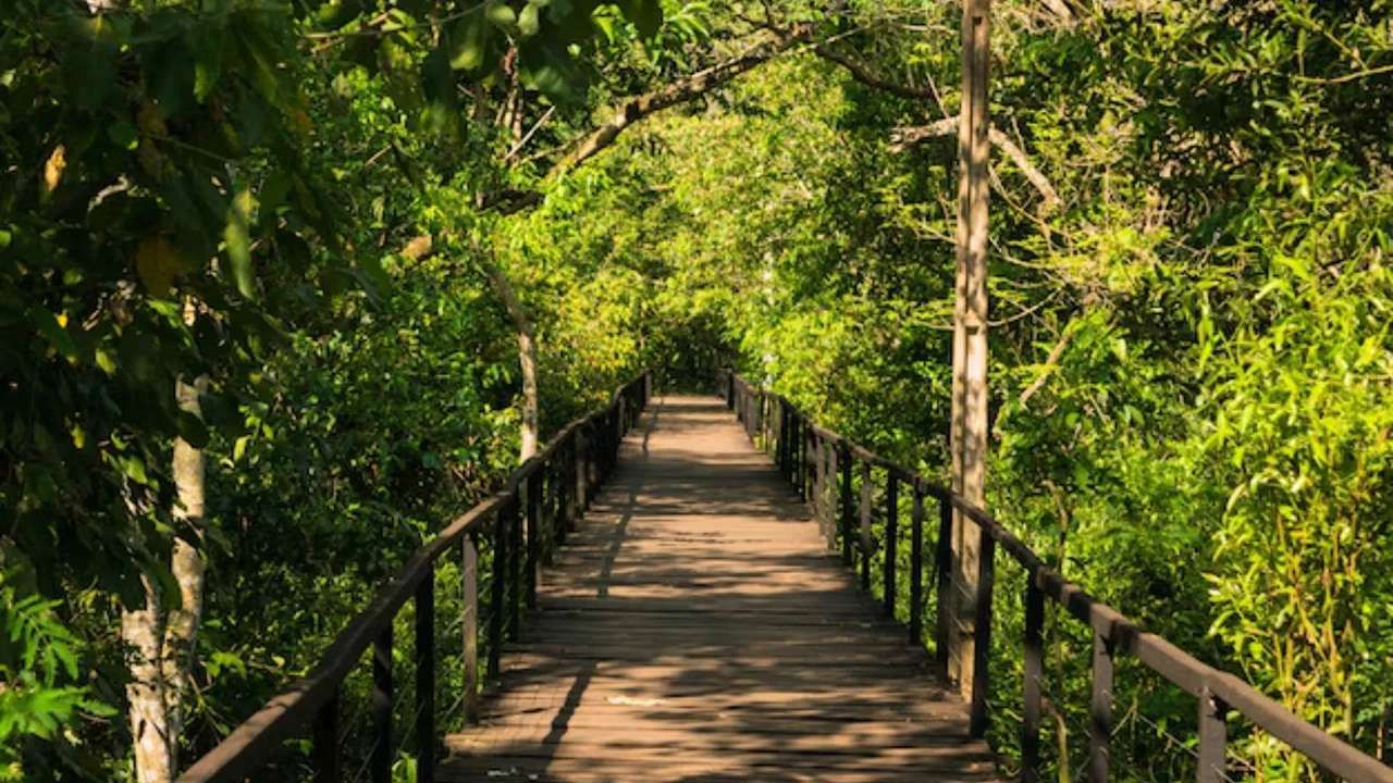 માત્ર આટલું જ નહીં, વડીલો બાળકોને તેમની સંસ્કૃતિ, ભાષા, ખાસ કરીને સાહિત્ય અને પરંપરાઓનો પરિચય કરાવે છે. આ રીતે, બાળકોથી વડીલો સુધી પેઢી દર પેઢી સ્વચ્છતાનો વિચાર વધતો જાય છે. વડીલોની વાર્તાઓ તેમના હૃદય અને મનને અસર કરે છે અને તેઓ તેમને જીવનભર યાદ રાખે છે. 
