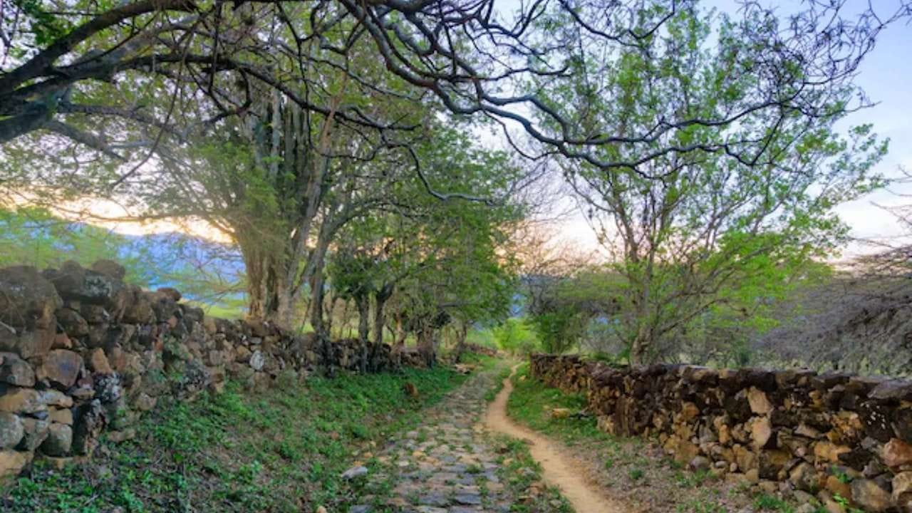 દેશનું સૌથી સ્વચ્છ ગામ મેઘાલયના શિલોંગમાં આવેલું છે, જેનું નામ માવલીનોંગ છે. 2003 માં, ડિસ્કવર ઈન્ડિયા મેગેઝિન દ્વારા આ ગામને દેશનું સૌથી સ્વચ્છ ગામ જાહેર કરવામાં આવ્યું હતું. ત્યારબાદ 2005 માં પણ તેને ભારતનું સૌથી સ્વચ્છ ગામ જાહેર કરવામાં આવ્યું હતું.