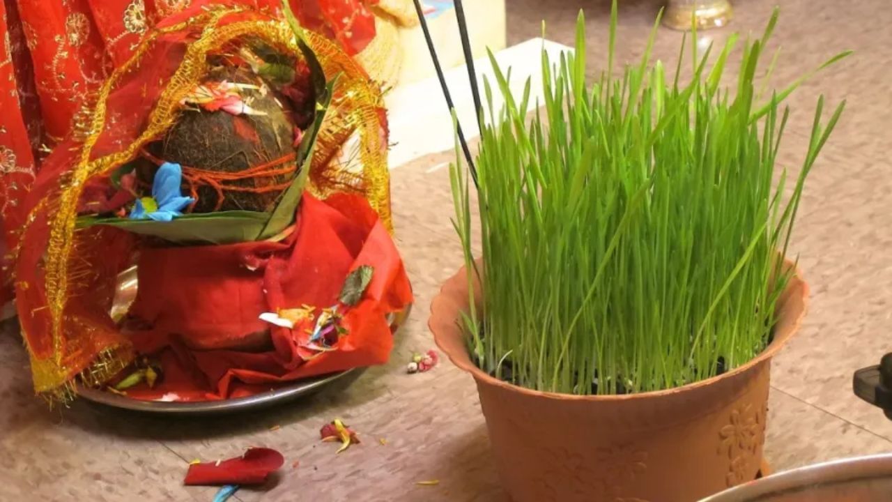 જયા પાર્વતી વ્રતમાં મીઠું કેમ નથી હોતું? : એવું કહેવાય છે કે જે કોઈ પણ આ વ્રત પૂર્ણ ભક્તિથી કરે છે. તેના લગ્ન જીવનમાં ખુશીઓ સ્થાયી થાય છે. જો કે આ વ્રત સાથે જોડાયેલા ઘણા મુશ્કેલ નિયમો પણ કહેવામાં આવ્યા છે. જેમાંથી એક મીઠાનો નિષેધ છે. જયા પાર્વતી વ્રતમાં મીઠાનો ઉપયોગ વંચિત માનવામાં આવે છે.
