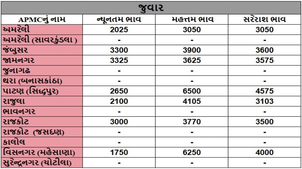 જુવારના તા.30-07-2025ના રોજ APMCના ભાવ રૂ.1750 થી 6500 રહ્યા.