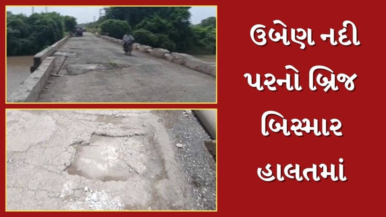 Junagadh : ધંધુસર ગામે ઉબેણ નદી પરનો બ્રિજ બિસ્માર હાલતમાં, ભારે વાહનોની અવરજવર પર મુકાયો પ્રતિબંધ, જુઓ Video