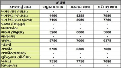 કપાસના તા.02-07-2025ના રોજ APMCના ભાવ રૂ.5200 થી 8380 રહ્યા.