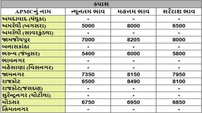 કપાસના તા.24-07-2025ના રોજ APMCના ભાવ રૂ.5000 થી 8490 રહ્યા.