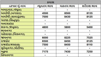 કપાસના તા.25-07-2025ના રોજ APMCના ભાવ રૂ.4500 થી 8500 રહ્યા.
