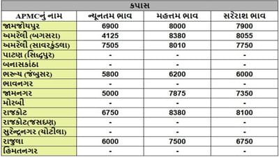 કપાસના તા.30-07-2025ના રોજ APMCના ભાવ રૂ.4125 થી 8380 રહ્યા.
