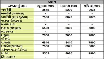 કપાસના તા.03-07-2025ના રોજ APMCના ભાવ રૂ.3575 થી 8410 રહ્યા.