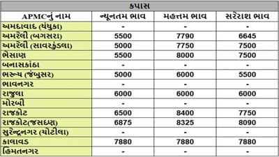 કપાસના તા.04-07-2025ના રોજ APMCના ભાવ રૂ.5000 થી 8400 રહ્યા.