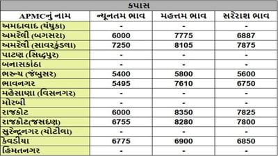 કપાસના તા.08-07-2025ના રોજ APMCના ભાવ રૂ.5400 થી 8350 રહ્યા.