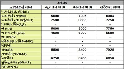 કપાસના તા.09-07-2025ના રોજ APMCના ભાવ રૂ.4500 થી 8400 રહ્યા.