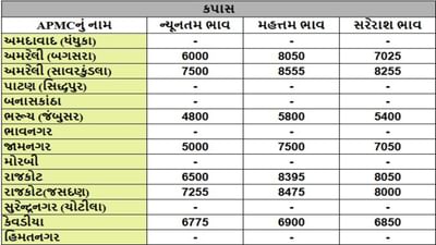 કપાસના તા.22-07-2025ના રોજ APMCના ભાવ રૂ.4800 થી 8555 રહ્યા.