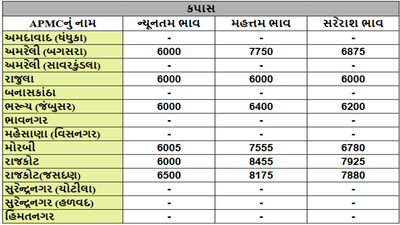 કપાસના તા.10-07-2025ના રોજ APMCના ભાવ રૂ.6000 થી 8455 રહ્યા.