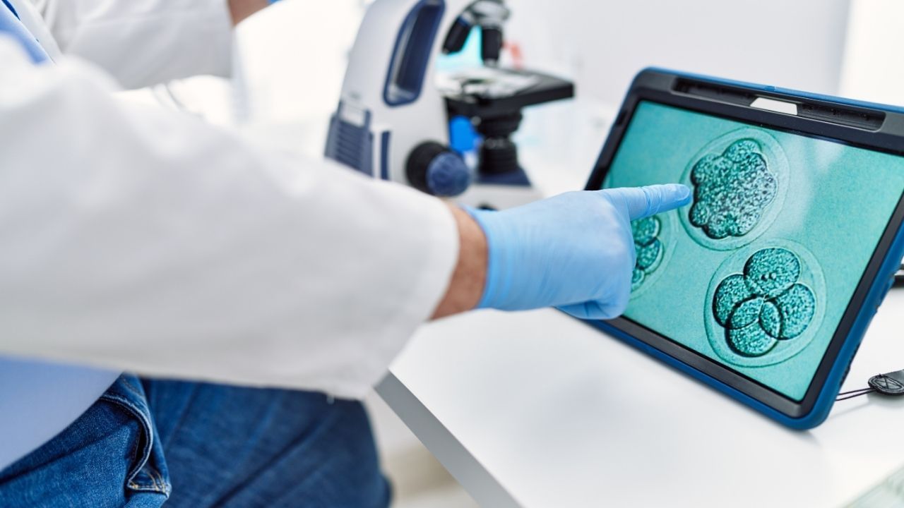 પ્રો. હયાશીએ કહ્યું કે આ ખૂબ મોટું સંશોધન હશે, ઉંદરો પર પ્રયોગ સફળ રહ્યો છે, અમે એક એવો ઉંદર બનાવ્યો છે જેના બે પિતા છે, એટલે કે, આ ટેકનોલોજી સમલૈંગિક યુગલો માટે પણ વરદાન બની શકે છે. તેઓ કહે છે કે અમને અઠવાડિયામાં ઓછામાં ઓછો એક ઇમેઇલ મળે છે જેમાં વંધ્યત્વના દર્દીઓ તેમની સમસ્યાઓ વિશે જણાવે છે. તેથી હું આ સમસ્યાને સમજું છું, સ્ટાર્ટઅપ કંપની કન્સેપ્શનના સીઈઓ મેટ ક્રિસિલોફે ગાર્ડિયનને જણાવ્યું હતું કે પ્રયોગશાળામાં વિકસિત ઇંડા બધું બદલી નાખશે. તે મહિલાઓને મોટી ઉંમરે બાળકો પેદા કરવાની મંજૂરી આપશે.