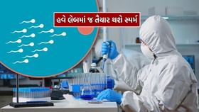 મોટી સમસ્યાનો હલ, હવે લેબમાં જ તૈયાર થશે સ્પર્મ મોટી સમસ્યાનો હલ, હવે લેબમાં જ તૈયાર થશે સ્પર્મ