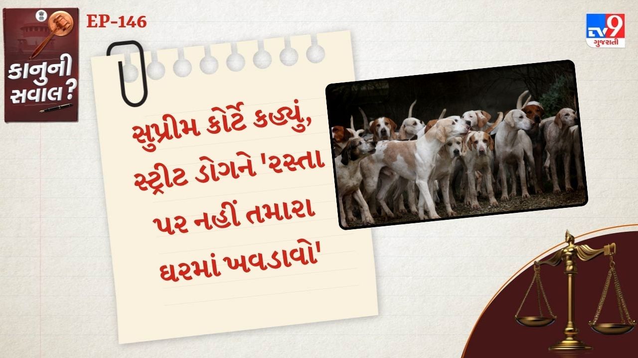 સુપ્રીમ કોર્ટે પૂછ્યું કે, શું આપણે આ ઉદાર લોકો માટે દરેક શેરી, દરેક રસ્તો ખુલ્લો છોડી દેવો જોઈએ? કોર્ટે કહ્યું કે આ પ્રાણીઓ માટે પૂરતી જગ્યા છે પણ માણસો માટે કોઈ જગ્યા નથી. જસ્ટિસ વિક્રમ નાથ અને જસ્ટિસ સંદીપ મહેતાની બેન્ચે અલ્હાબાદ હાઈકોર્ટના માર્ચ 2025ના આદેશને પડકારતી અરજીની સુનાવણી કરતી વખતે આ ટિપ્પણી કરી હતી.