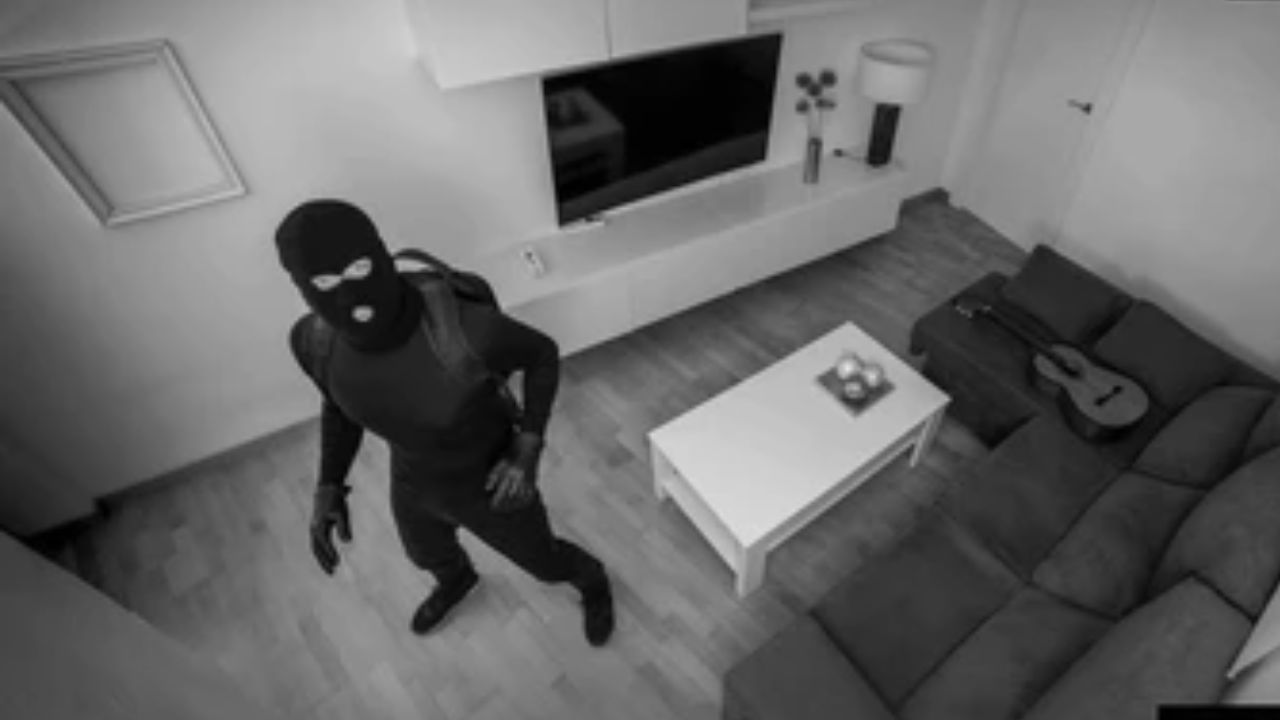 ચોરાયેલી વસ્તુઓની રિકવરી: જો પોલીસ તેમની તપાસ દરમિયાન ચોરાયેલી વસ્તુઓ રિકવર કરે છે તો તમને યોગ્ય પ્રક્રિયા અનુસરીને તે વસ્તુઓ મેળવવાનો અધિકાર છે.
