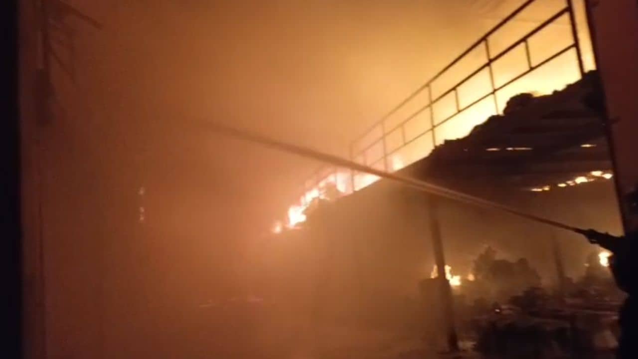 Morbi News : વાંકાનેરના કારખાનામાં લાગી ભીષણ આગ, જુઓ Video