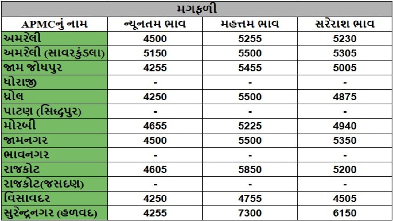 મગફળીના તા.30-07-2025ના રોજ APMCના ભાવ રૂ.4250 થી 7300 રહ્યા.