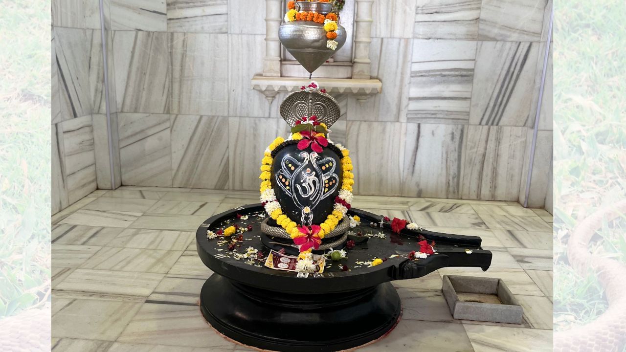 શ્રાવણ મહિના દરમિયાન સપનામાં સાપ દેખાવું એ સ્વપ્ન શાસ્ત્ર અનુસાર એક મહત્વપૂર્ણ સંદેશ માની શકાય છે. (Credits: - Canva)