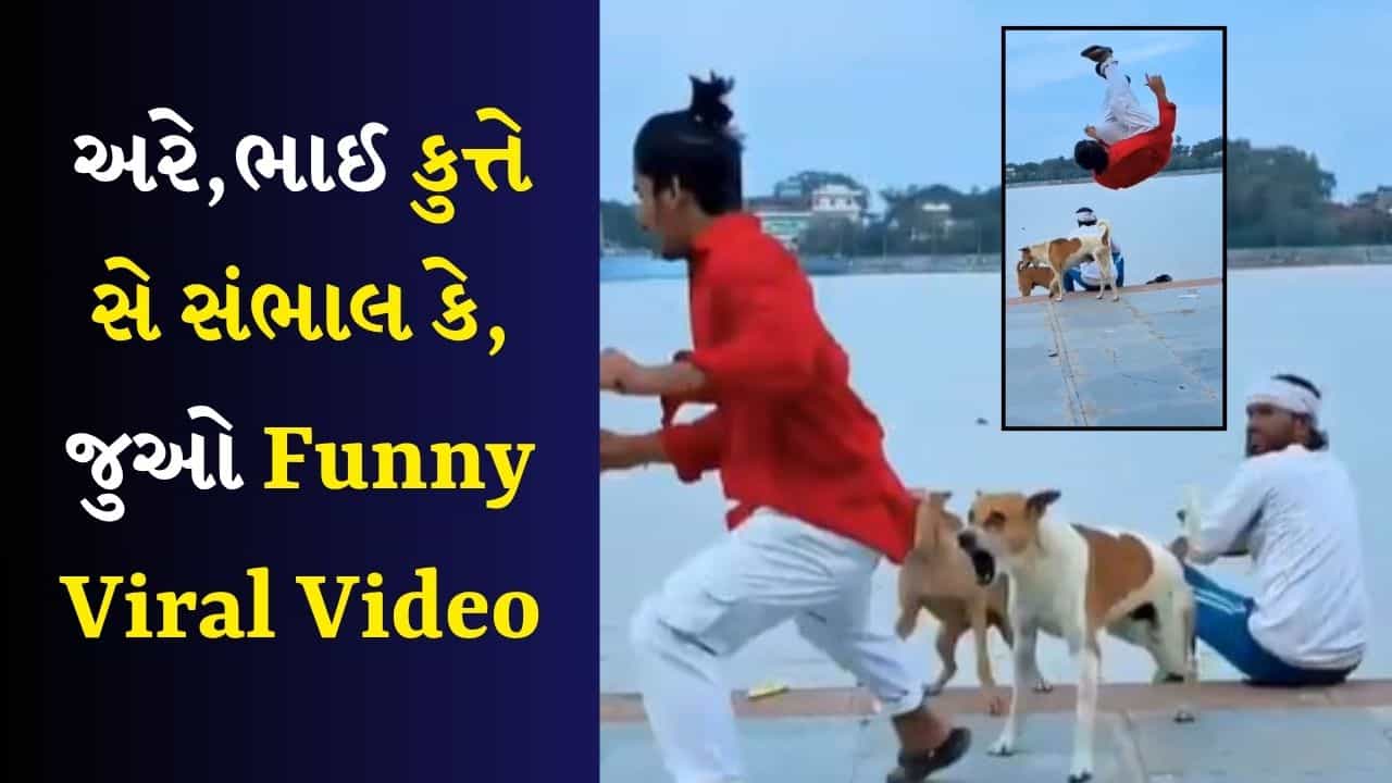 બસંતી, ઈન કૂત્તો કે સામને મત નાચના! વિરુભાઈ સાચા હતા, Viral Video જોયા પછી લોકો હસીને થયા લોટપોટ