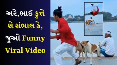 બસંતી, ઈન કૂત્તો કે સામને મત નાચના! વિરુભાઈ સાચા હતા, Viral Video જોયા પછી લોકો હસીને થયા લોટપોટ