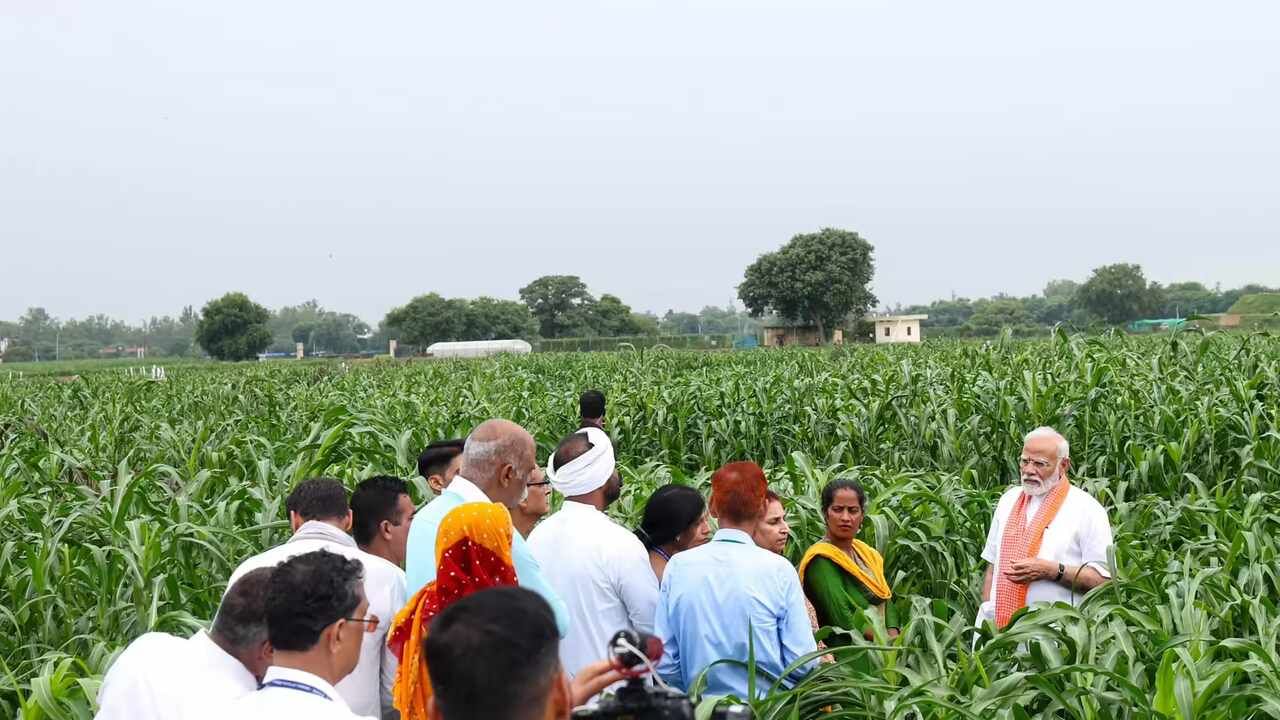 PM ધન ધાન્ય કૃષિ યોજનાને મોદી સરકારની મંજૂરી, ખેડૂતોને થશે આવો ફાયદો