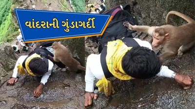 પહાડ ચઢતા સમયે વાંદરાને ધમકાવવુ ભાઇને પડ્યુ ભારે, વાંદરાએ કરી રીતસરની ગુંડાગર્દી, જુઓ વાયરલ Video