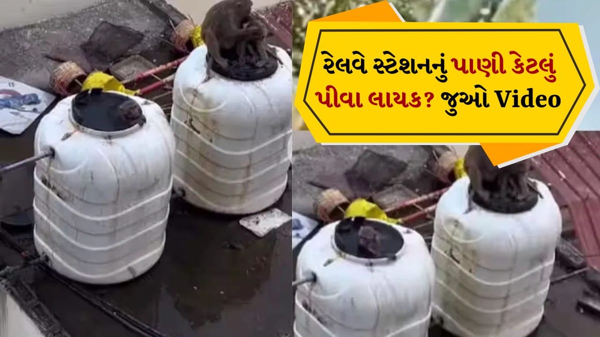 રેલવે સ્ટેશનની ટાંકીમાં નાહી રહ્યા છે વાંદરાઓ, આવું પાણી પી રહી છે જનતા, જુઓ Shocking Video