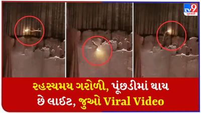 રહસ્યમય ગરોળી ! પૂંછડીમાં જોવા મળ્યું લાઈટ જેવું, વીડિયો જોઈને તમે પણ આશ્ચર્યમાં પડી જશો