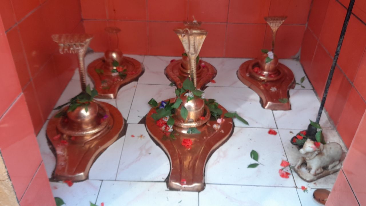 નર્મદા નદીના પથ્થરોમાં ખૂબ જ ખાસ પ્રકારની ગોળાઈ અને ઘસાયેલા સપાટી જોવા મળે છે, જે સરળતાથી બીજે ક્યાંય જોવા મળતી નથી. આ પથ્થરો બેસાલ્ટ પથ્થર પ્રકારના હોય છે, અને અહીંના પાણીના પ્રવાહ અને ગતિને કારણે એ પથ્થરો કુદરતી રીતે શિવલિંગના આકારમાં ઘસાઈ જાય છે. (Credits: - Canva)