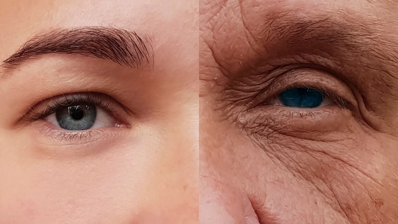 દર 15 વર્ષે મનુષ્ય જીવનમાં એક મોટો ફેરફાર આવે છે. જેમાં 15, 30, 45, 60 અને 75 વર્ષ… જો આપણે દરેક મહત્વની ઉંમરે યોગ્ય નિર્ણયો લઈએ અને જીવનશૈલીમાં યોગ્ય સુધારાઓ કરીએ – તો વૃદ્ધાવસ્થા બસ એક સંજોગ બની રહે છે, ન કે આપણું વાસ્તવિક સ્વરૂપ. (નોંધ :અહીં આપવામાં આવેલી માહિતી પબ્લિક ડોમેઈનમાં ઉપલબ્ધ માહિતીના આધારે ફક્ત આપની જાણકારી માટે છે.) (All Image - Canva)