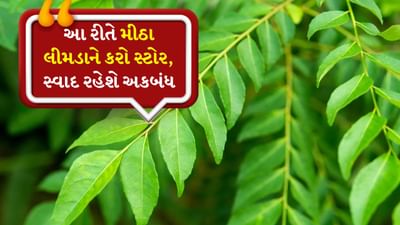 દાળમાં મસાલા ઉમેરવા હોય કે સાંભારના સ્વાદમાં સુગંધ ઉમેરવા હોય, મીઠા લીમડા વગર મજા અધૂરી રહે છે. આ આપણા દેશી રસોડાની સુપર વસ્તુ છે, જે ફક્ત સ્વાદ જ નહીં પણ સ્વાસ્થ્યનો ખજાનો પણ છે. તેમાં ઘણા પોષક તત્વો જોવા મળે છે. સૌથી ખાસ વાત એ છે કે સૂકાયા પછી પણ તેના ઔષધીય ગુણો અકબંધ રહે છે. 
