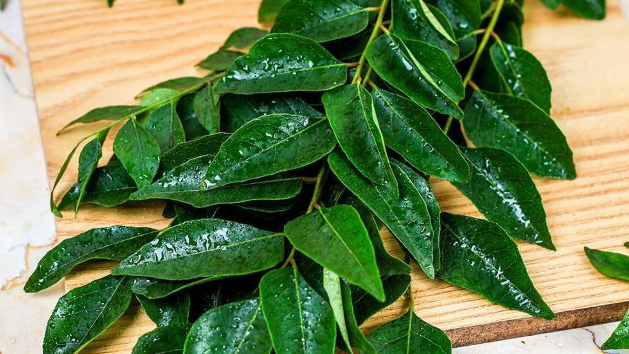 આ પદ્ધતિ શા માટે ઉત્તમ છે. પાંદડાઓની તાજગી અને રંગ બંને સુરક્ષિત રહે છે. ઉપયોગ કરતા પહેલા તેને સીધું ડિફ્રોસ્ટ કરવું સરળ છે. તેને મહિનાઓ સુધી સંગ્રહિત કરી શકાય છે, તે પણ બગડ્યા વિના.
